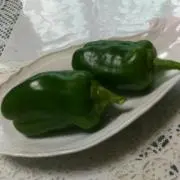 MMの画像