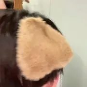 西の画像
