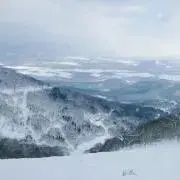 ハマグリの画像