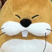 ちょろぷの画像