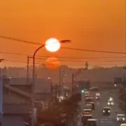 やさい