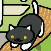 靴下ネコ