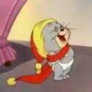 たぷの画像