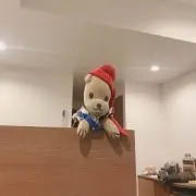 前田 あすかの画像
