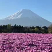 断捨離まみちゃんの画像