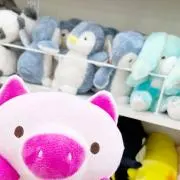 サヤ