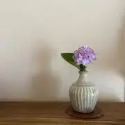 mizu