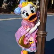 さーちゃんの画像