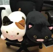Reina3の画像
