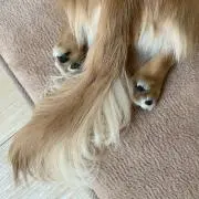 そらの画像