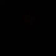 riiの画像