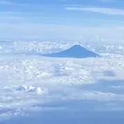 まのの画像