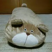 たく