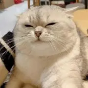 リン