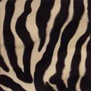 ℳ