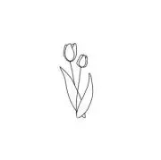 【断捨離中⭐︎プロフ必読】おしおの画像