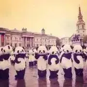 haの画像