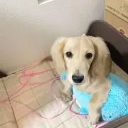 レオママ