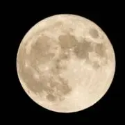 かやの画像