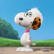 cocoの画像