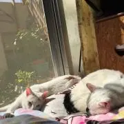 ゆん☆