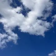 chonoの画像
