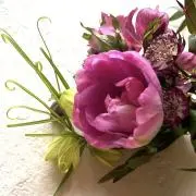 Camelliaの画像