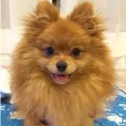 ネネママ(^^♪の画像