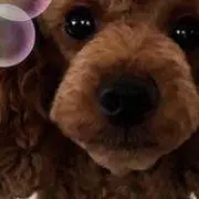june☆の画像