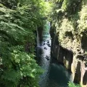 カヨの画像