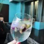 みんみんの画像