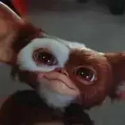 Gizmoの画像