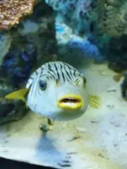 たーちゃんの画像