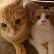 ❁おとちゃん❁