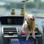 Yの画像