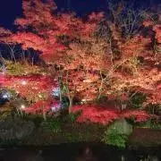 24時間以内発送☆の画像