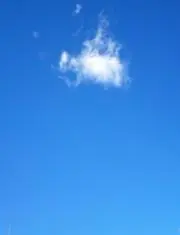 ぐっピーの画像
