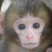 ぱんちゃん プロフ必読の画像