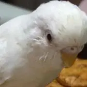 あ
