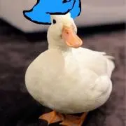 ピ