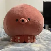 crazyG3の画像