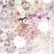 ☆値下げ☆トレカ付❗️激レアTWICE MISAMO アプグレ特典+CD3枚の福袋