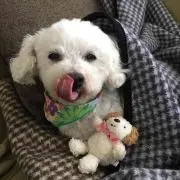 yun☆プロフ一読お願いします♪の画像