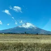 Orangeの画像