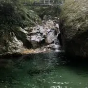 せいの画像