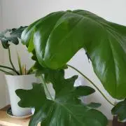 run3733プロフ必読✨️