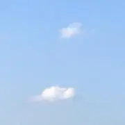 rii