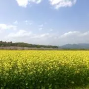 ハピの画像