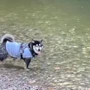 riの画像