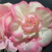 セールママの画像